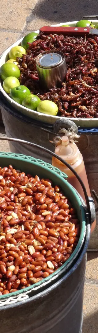 Mexikanische Delikatessen